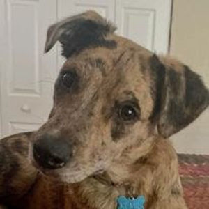 Meet your Posher, Debby